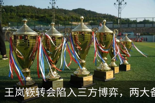 王岚嵚转会陷入三方博弈，两大备选已确定，兴奋剂事件能否给山东男篮经济补偿？陈培东续约稳定基本盘，张新宇南下加盟广州