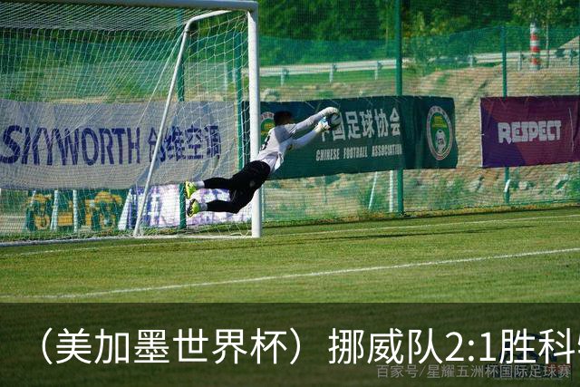 （美加墨世界杯）挪威队2:1胜科特迪瓦队 时隔28年重返16强